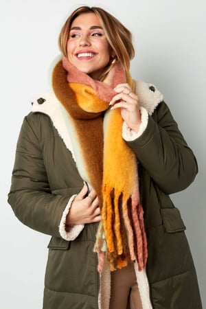 Sciarpa invernale ombre colori grigio h5 Immagine5